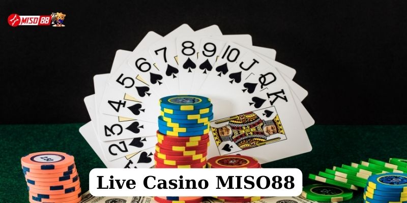 live casino miso88