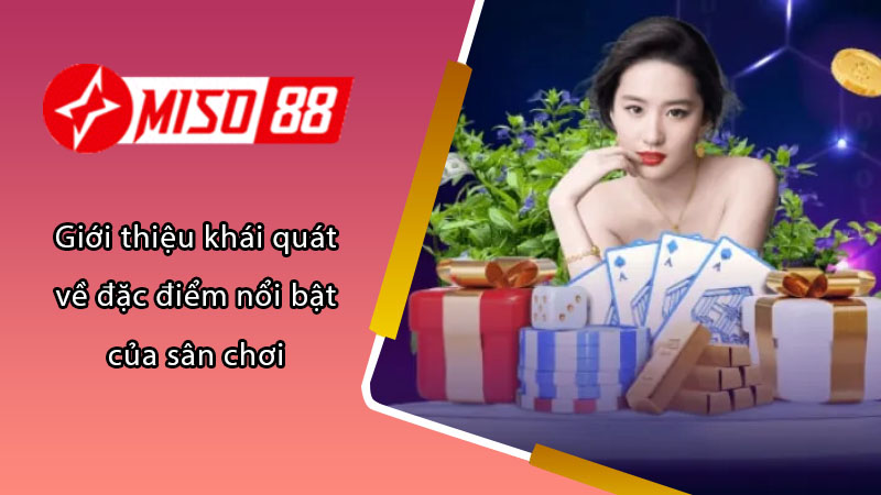 Giới thiệu khái quát về đặc điểm nổi bật của sân chơi