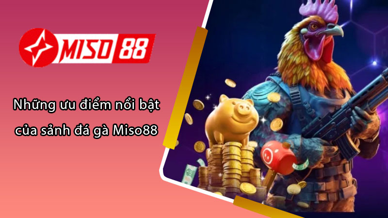 Những ưu điểm nổi bật của sảnh đá gà Miso88