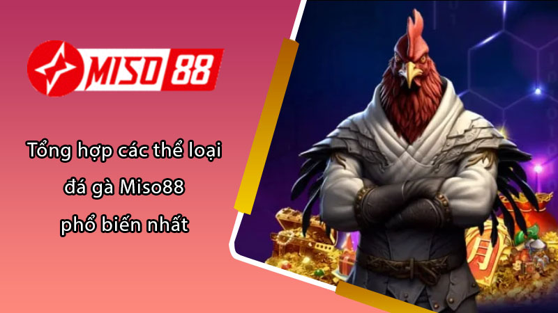 đá gà Miso88